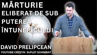 ELIBERAT DE SUB PUTEREA ÎNTUNERICULUI - DAVID PRELIPCEAN MARTURIE