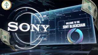 Sony Layer 2 Blockchain Testnet (Soneium Minato Testnet) | Crypto Sprout HQ