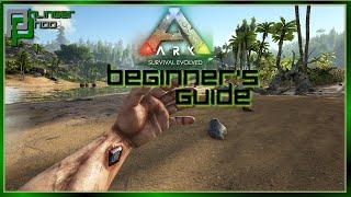 BEGINNER'S GUIDE - HOW TO GET STARTED IN ARK: SURVIVAL EVOLVED Soloing the Ark S5E1