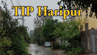 TIP colony Haripur | Today's Weather | Haripur Hazara ️