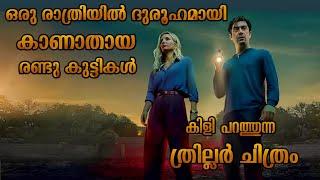 Vanished in the night mystery thriller explained in Malayalam