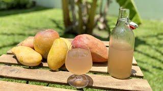 MANGO WINE how to make at home - Healthy Homemade Wine without  Yeast - Easy recipe for beginners