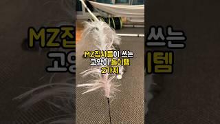 쌈뽕한 고양이 장난감2가지