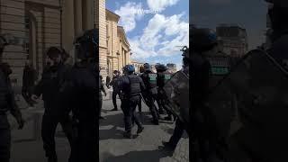 Pro-Palestinian protester aggressively tackled by Paris police