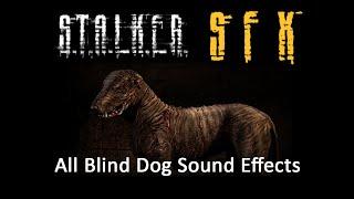 (S.T.A.L.K.E.R. SFX) - All Blind Dog Sound Effects