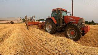 Barley, Cattle and Pulling Stuff Out