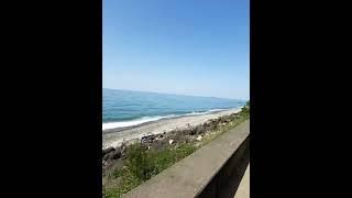 #shortvideo #ocean#beauty