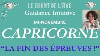 Capricorne - Vous allez vous sentir pousser des ailes ! Mi-novembre 2024