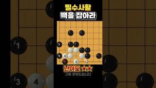 필수사활 - 백을 잡아보세요. #바둑 #바둑사활 #바둑문제