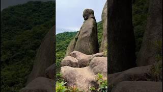 Old Man Rock, Amazing rock formation, Hong Kong. #shorts #nature #naturelovers #hiking #beautifulhk