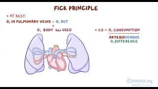 Cardiac Output with Fick Principle | Osmosis