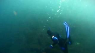 Spearfishing terceira