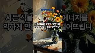 이 물건이 불행을 부른다? 집안에서 절대 두면 안 되는 것들