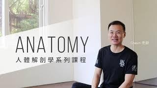 人體解剖學｜瑜珈解剖學  ft.Chasin老師 — YOGA JOURNEY 瑜珈旅程