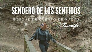 "SENDERO DE LOS SENTIDOS" BOSQUE DE CUENTO DE HADAS | FashionLu