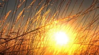 sunny summer day - mixed by jensson {progressive psytrance}