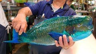 Japan Street Food GIANT HUMPHEAD PARROTFISH Sashimi Okinawa Japanese