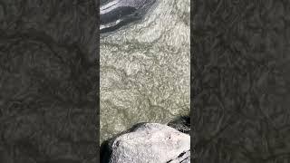 Hunza water #trending #shortsfeed #shortvideo #youtubeshorts #shorts #hunza