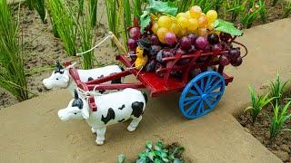 Diy Mini Farm Diorama | Bullock  Cart | Mini framing Science project Grapes farming