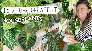 I Can Only Own 15 Plants... WHICH DO I CHOOSE?!  Top 15 Houseplants