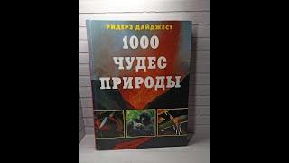 1000 чудес природы