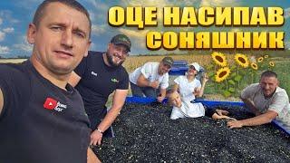 Молотим чорне золото! Урожай соняшника АЛЬДАЗОР від Агро Ритм!