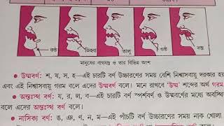 ধন্নি, বর্ণ  ---- স্বরধ্বনি, ব্যঞ্জনধ্বনি, স্বরবর্ণ ও ব্যঞ্জনবর্ণ এদের শ্রেনি বিভাগ? // #westbengal