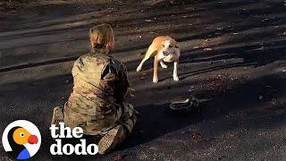 Dog Reunites With His Mom After A Year | The Dodo