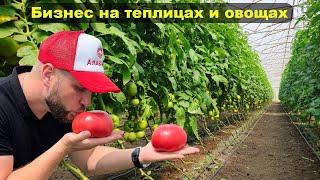 Фермерские теплицы + овощной бизнес на Кубани