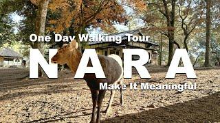 How to spend  1 day in Deer Park Nara Japan | Things to do in Nara | Travel Guide