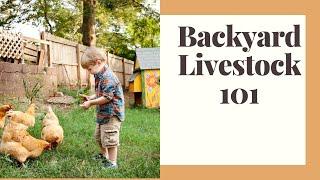 Self Sufficiency 101: Part 2 Backyard Livestock