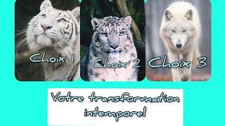 Transformation 3 choix intemporels