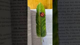 Realistic Lady bug l Watercolor Bookmark | Nature-Inspired Painting on Leaf Paper #watercolorart