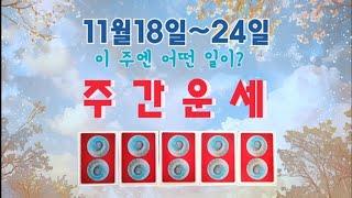 타로11월18일~24일 주간운세