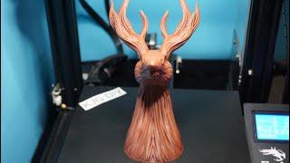3d printing time lapse ender 3