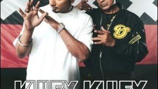 kuley kuley ft. yo yo honey singh and apache indian