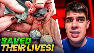 RESCUED!! I Found Tiny Turtles Magnet Fishing & SAVED Their Lives!!