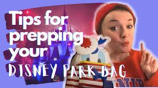 Tips for Prepping Your Disney Park Bag