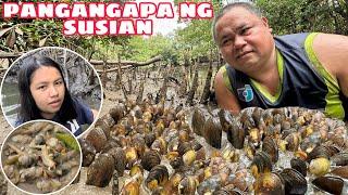 PANGANGAPA NG SUSIAN | GINISANG SUSIAN WITH SOTANGHON | Catch & Cook