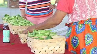 Alabama Cooperative Extension System at Auburn University - APHA TV 2017