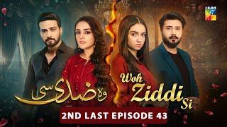 Woh Ziddi Si - 2nd Last Episode 43 - 12th Jan 2025 [ Aina Asif & Shazeal Shaukat ]  - HUM TV