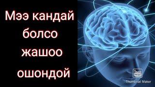 АУДИО КИТЕП ЦИТАТАЛАР алтын создор жанылыктар кыргызча кино ырлар.