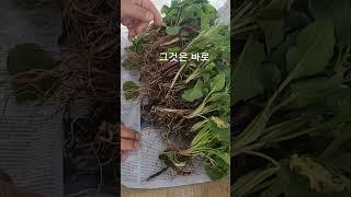 나는 누구일까요