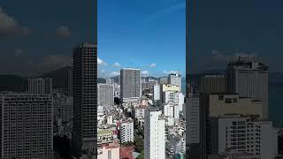 정다율TV 베트남 나트랑 버고 호텔 수영장 바다뷰