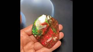 Canadian Ammolite Display Piece #ammolite #fossil #gemstone #ammonite #specimen #jewelrymaking