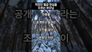 직장인 월급 현실을 모르는 부모님