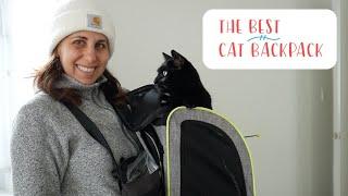 Backpack Train Your Cat – Get To Know Our Favorite Style For Training