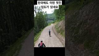 한국에도 이런 임도가 있어요
