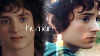 frodo baggins || human