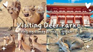 japan vlog ️ visiting deer park in japan: nara park, temples, deer friends 
